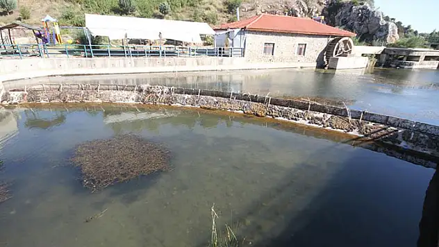 Konya'daki Adaköy Pınarı ve baraj göleti kurumaya yüz tuttu, yüzeyi yosunlarla kaplandı