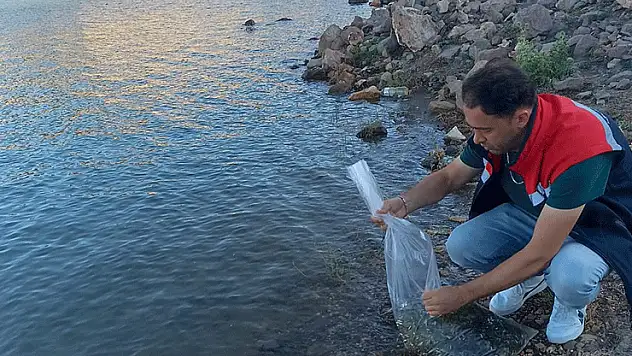 Konya'daki balıkçılara müjde
