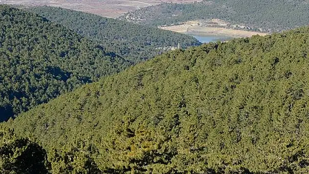 Konya'daki bazı alanlar orman sınırları dışına çıkarıldı