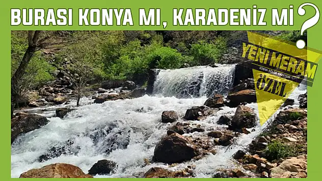 Konya'daki bu küçük Karadeniz görenleri şaşırtıyor!