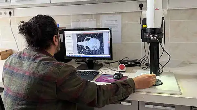 Konya'daki endemik tür mercek altında!