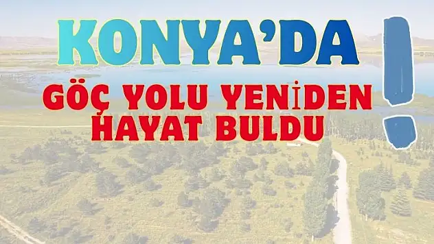 Konya'daki göç rotasının kritik noktası yeniden suya kavuştu