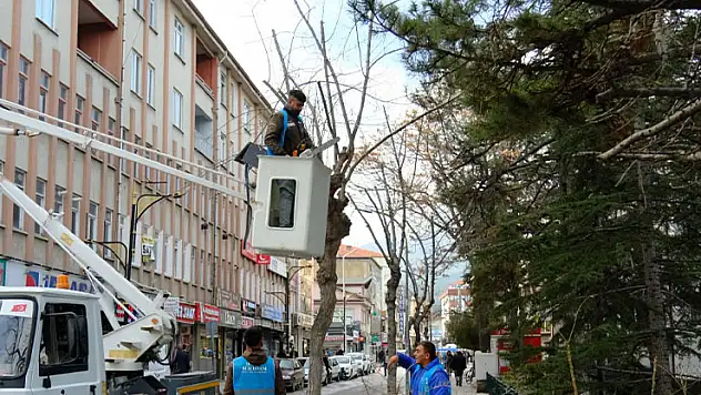 Konya'daki o belediye, mevsimsel budama çalışmalarına başladı