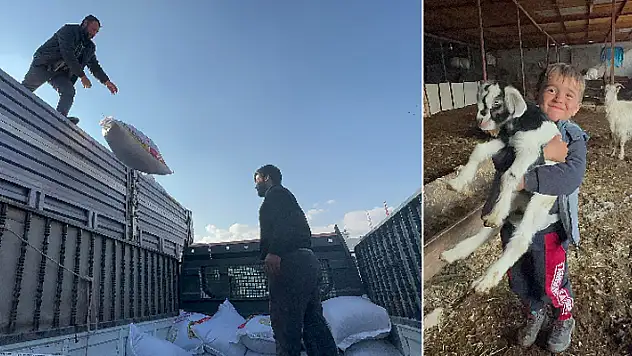 Konya'dan Hatay'a gönderilen 10 tır besi ve süt yemi bölgedeki üreticiye can suyu oldu