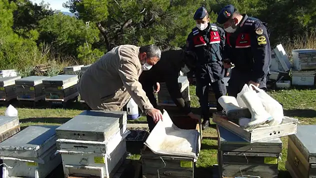 Konyalı arıcı dedektif gibi iz sürdü, çalınan arılarını 200 kilometre uzakta buldu