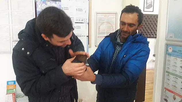 Konyalı balıkçılar yaralı ördeği kurtardı