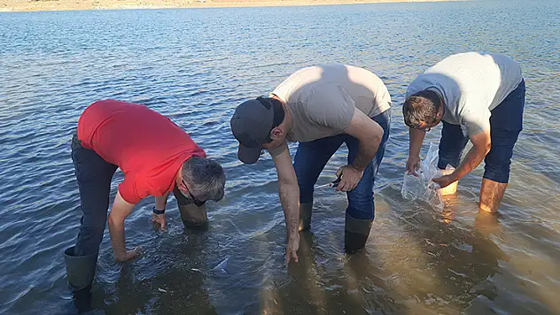 Konyalı balıkçıları sevindirecek haber