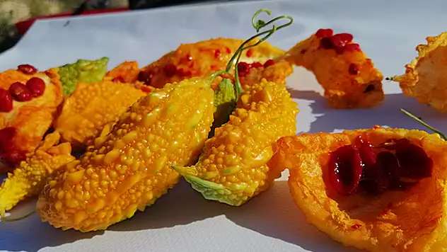 Konyalı çiftçi  'Kudret Narı' deneme üretimine başladı