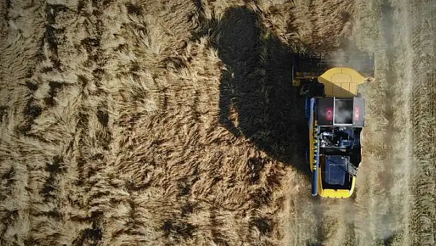 Konyalı çiftçilere ekim uyarısı!  Hububat hasadında o virüsle karşılaşmamak için dikkat edilmesi gerekenler 