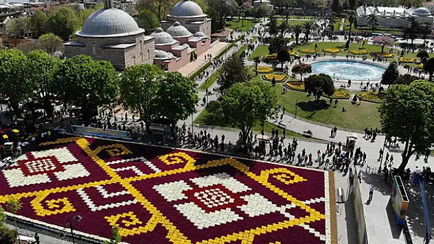 Konyalı çiftçilerin ürettiği laleler Sultanahmet'i süsledi