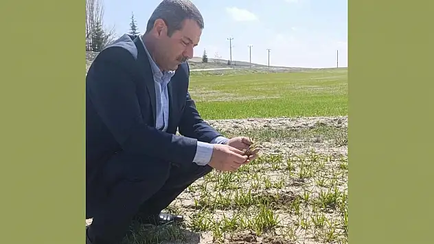 Konyalı çiftçinin yüzü güldü