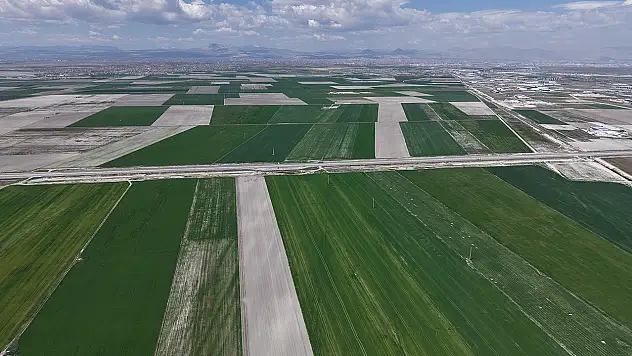Konyalı çiftçiye büyük müjde: Cumhuriyet tarihinin en yükseği bekleniyor
