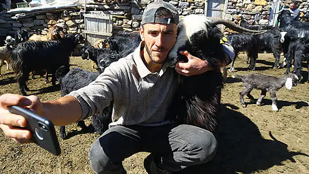 Konyalı çoban Hasan'ın yaylada keçileriyle mutlu yaşamı