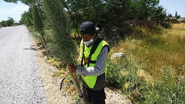 Konyalı Himmet amca hayatını yeşile adadı, 11 yılda binlerce ağaç dikti