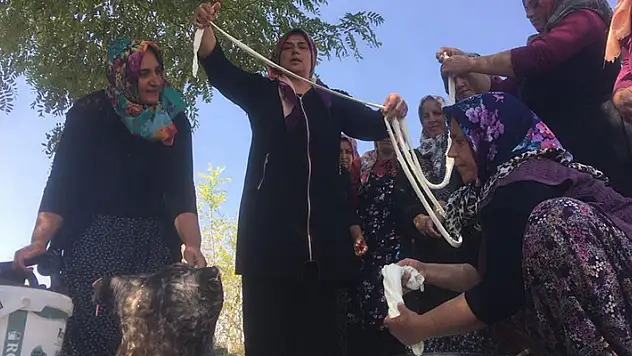 Konyalı kadınlar el ele verip 8 çeşit peynir üretti
