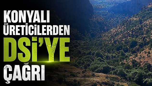 Konyalı üreticilerden DSİ'ye çağrı