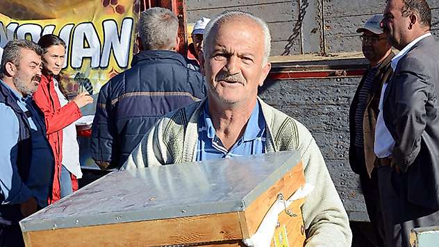 Konyalı üreticilere arı desteği