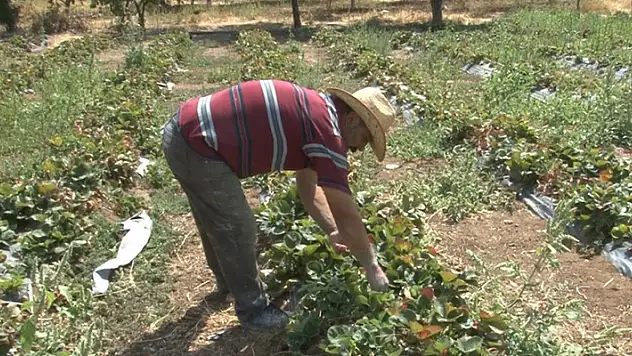 Konyalı vatandaş 40 yıl gelmediği köyüne evini ve bahçesini kurarak geri dönüş yaptı
