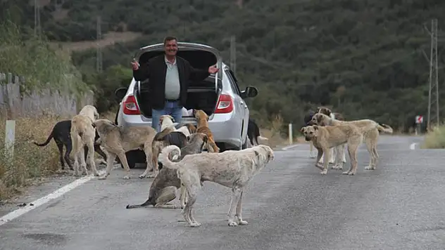 Konyalı vatandaş emekli olunca kendisini sokak köpeklerine adadı
