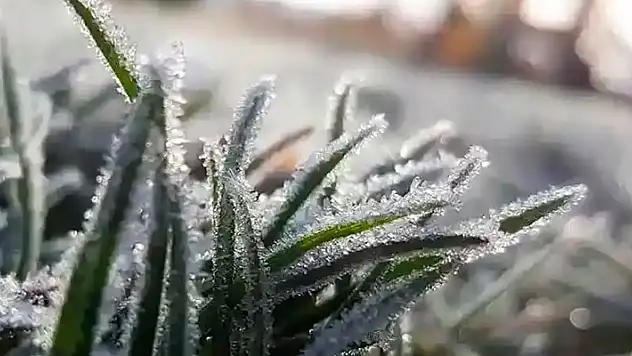 Konyalılar dikkat! Meteorolojiden zirai don uyarısı!