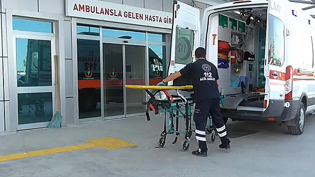 Konyalının ceviz hasadıyla imtihanı!  Hastanelere gelen düşme vakası arttı