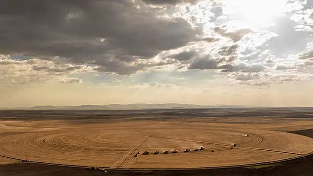 Konya'nın devasa dairesel tarlalarında hasat tamamlandı