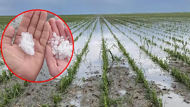 Konya'nın Karapınar ilçesinde dolu yağışı tarım arazilerinde zarara yol açtı
