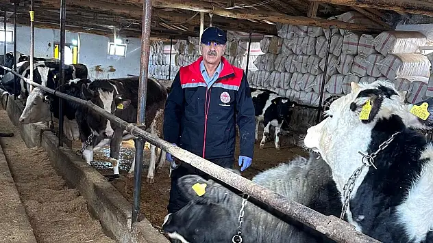 Konya'nın o ilçesinde hayvancılık faaliyetleri yakın takipte