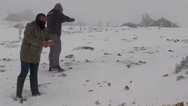 Konya'nın o ilçesinde kar yağışı etkili oluyor