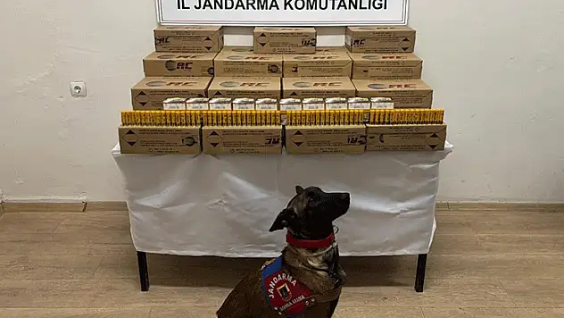 Konya'ya giden yolcu otobüsünde 10 bin adet kaçak av tüfeği mermisi ele geçirildi