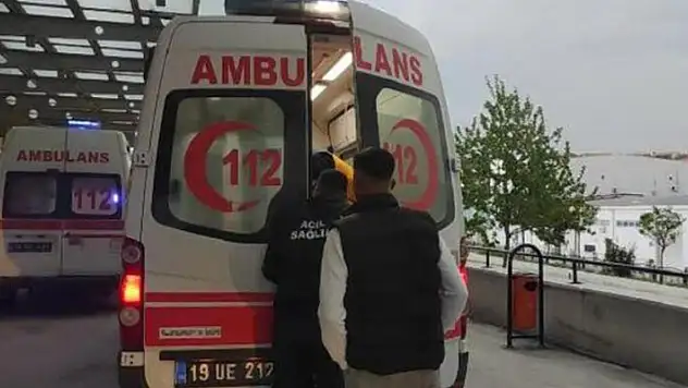 Kooperatif bekçisi, ağaçtan izinsiz erik toplayan kişiyi vurdu

