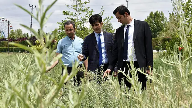 KOP desteklerine yerinde inceleme

