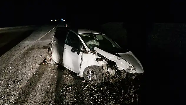 Köpeğe çarpan otomobili görünce manevra yaptı, aracıyla şarampole uçtu
