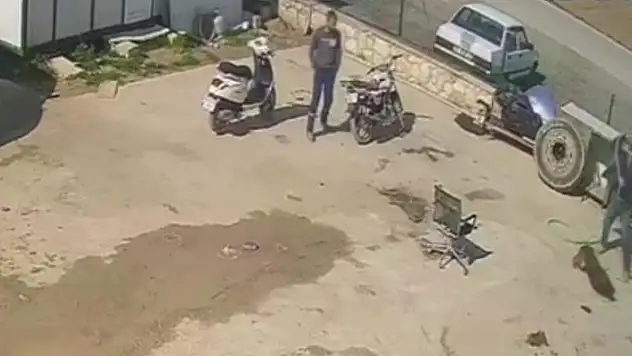 Köpeğe saldırana ev hapsi, izleyene barınakta çalışma cezası verildi
