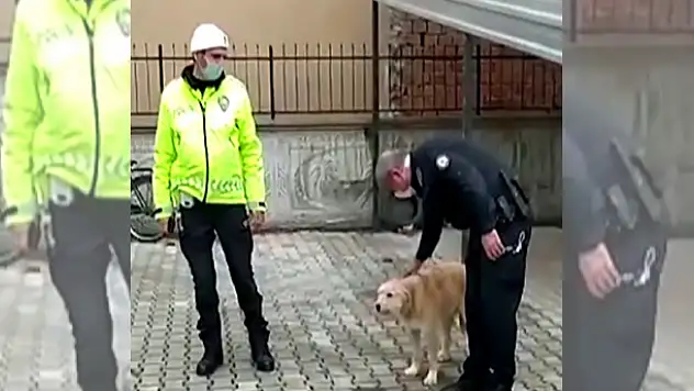 Köpeği döven şahıs polis tarafından yakalandı