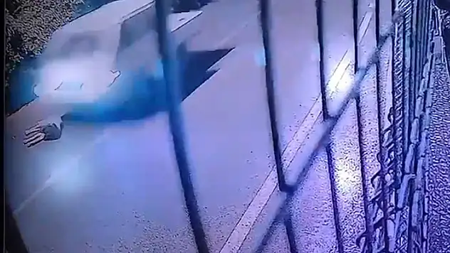 Köpeği ezip yoluna devam etti
