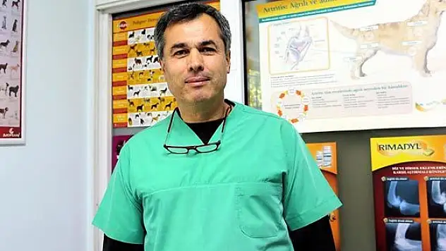 Köpeğin dişinin altından bal arısı çıktı