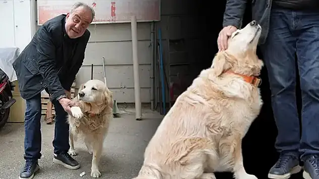 Köpek havladı, 700 bin TL'si gitti: Benimle alakası yok, başıma gelmeyen kalmadı
