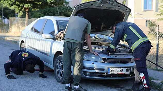 Köpeklerden kaçan su samuru otomobilin kaputuna sığındı