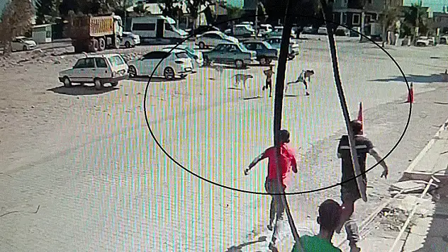 Köpeklerden kaçarken yere yığılan çocukların yardımına vatandaşlar yetişti