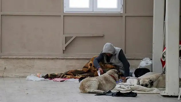 Köpekleriyle şadırvanı mesken tuttu, cami cemaati abdest alamaz oldu