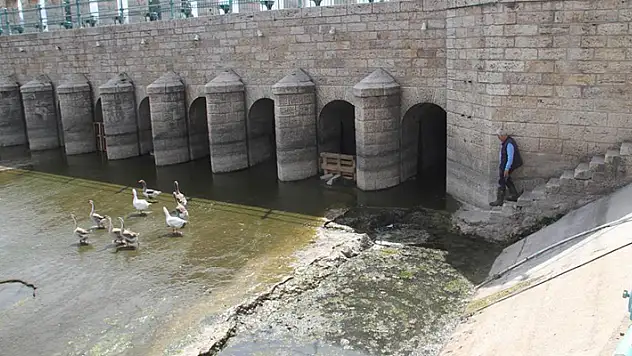 Köprü önüne ve regülatör gözleri içinde kuluçkaya yatan Meke ve kazlar ilgi odağı oldu

