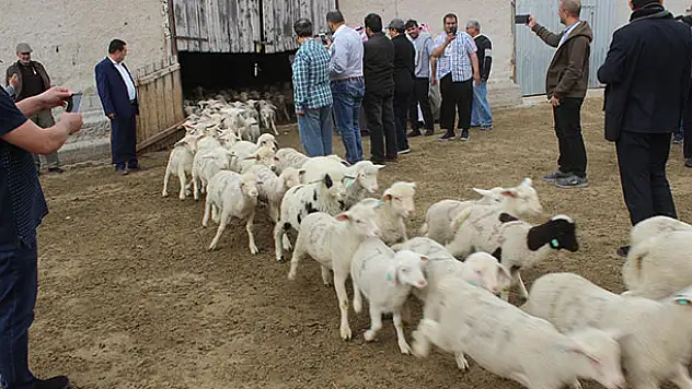 Körfez ülkeleri iş adamları Karapınar'da