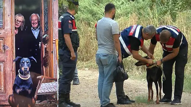 Korhan Berzeg'i arama çalışmaları 130'uncu günde sonlandırıldı
