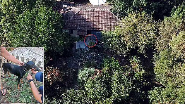 Korhan Berzeg'i arama çalışmalarına GPS cihazı takılan 'Tina' da katıldı

