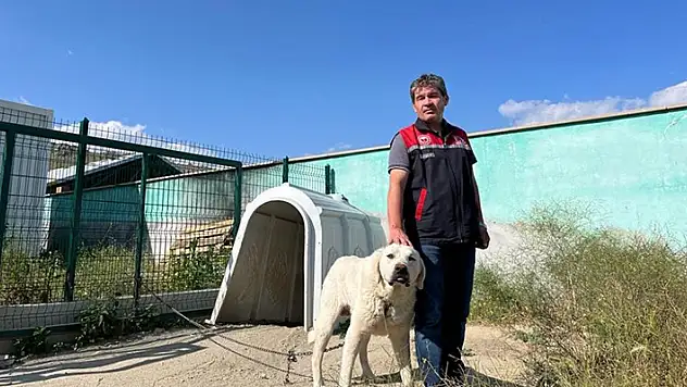Koruma altındaki Sivrihisar akbaşlarının üreme dönemi başladı
