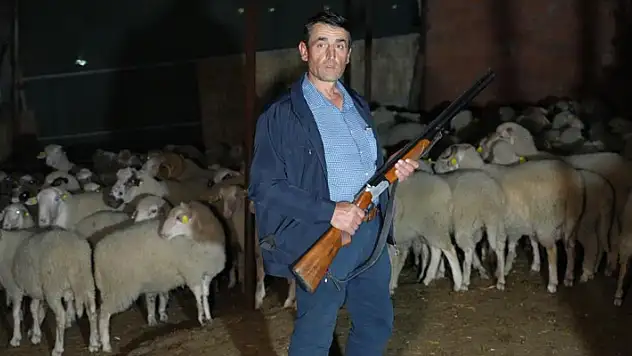 Köy halkı ellerinde tüfekle gece kurt nöbeti tutmaya başladı
