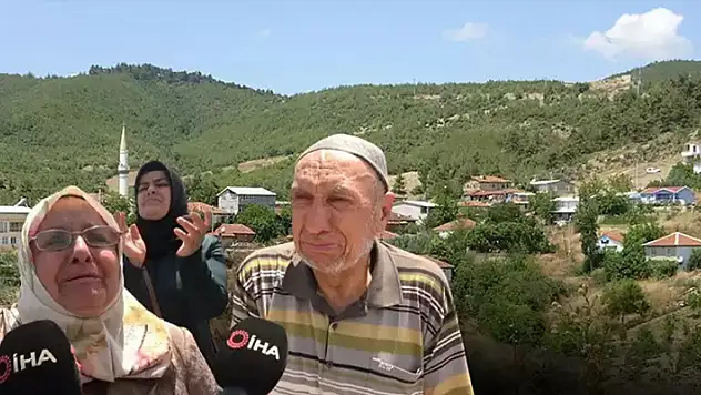 Köylüleri hüngür hüngür ağlatan manzara! Yüzlerce çam ağacı kesildi