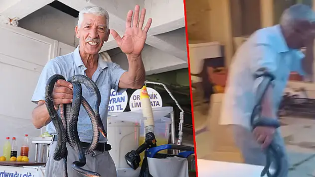 Koynunda beslediği yılanlar böyle ısırdı
