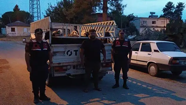 Koyunları çalıp sattı, eğlence mekanında yakayı ele verdi
